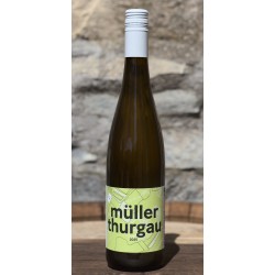 Müller Thurgau 2025